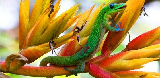 Photo of Kay Elle V.