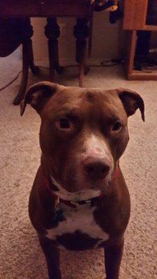 Photo of Traci R.