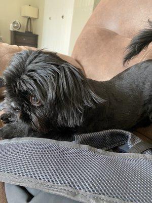 Photo of Michelle W.