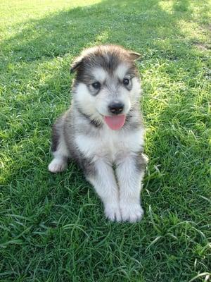 Photo of Luna T.