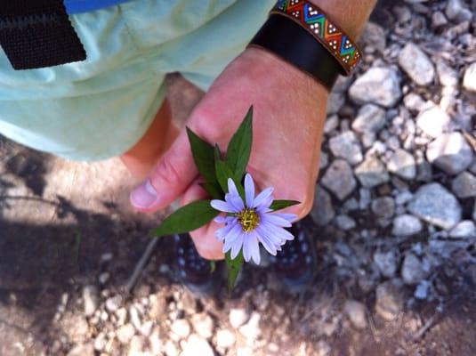 photo of Little Miss Sunshine C.