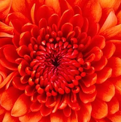 photo of Christina M.