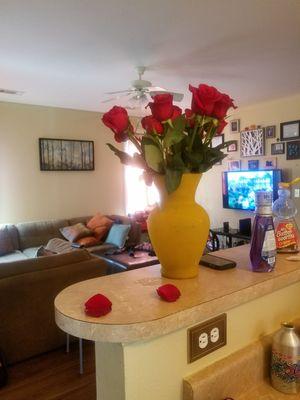 photo of Samantha J.