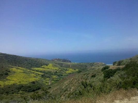 photo of Kimberly D.