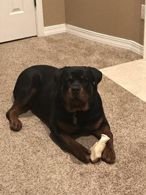 photo of Michelle R.