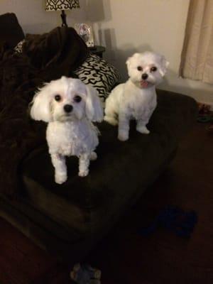 photo of Stephanie I.