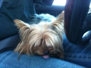 photo of Jennifer B.