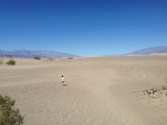 photo of Verenice F.