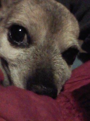 Photo of Kristene G.