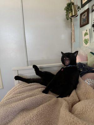 photo of Caroline M.