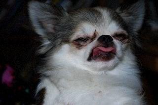 photo of Karen Lee K.