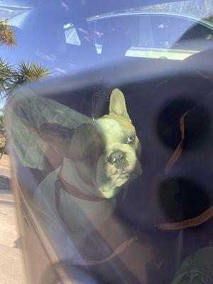 photo of Alexandrea N.