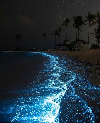 photo of Samantha B.