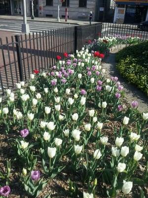 photo of Danielle L.