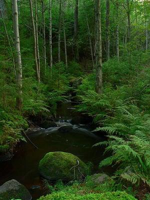 photo of Victoria S.