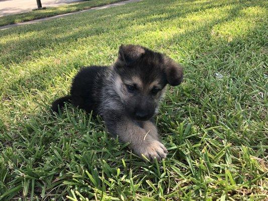 Photo of Nathalie Z.