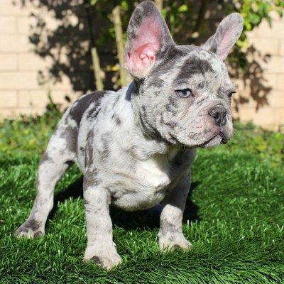 photo of Jennifer W.