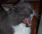 Photo of Mitzi W.