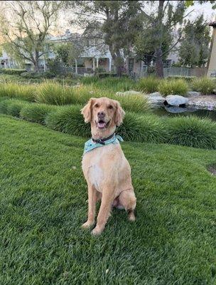 photo of The Golden R.