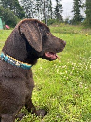 photo of Kimberly B.