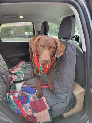 photo of Marianne B.