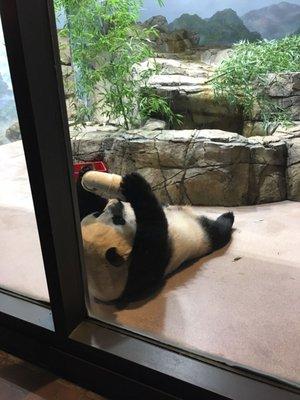 photo of Patricia L.