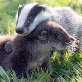 photo of Michelle M.