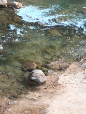 photo of Sweetness R.