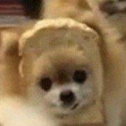 Photo of Christian D.