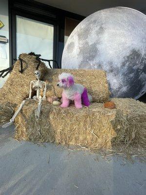 photo of Samantha M.