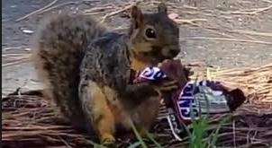 photo of Krishiva M.