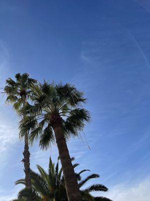 photo of Alexandra C.