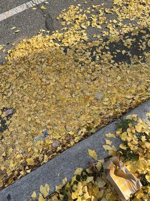 Photo of Ecclesiastes P.