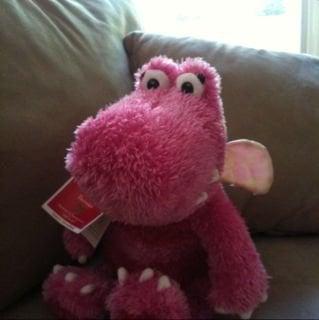 Photo of Lisa M.