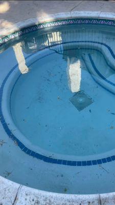 Photo of Aliannah A.