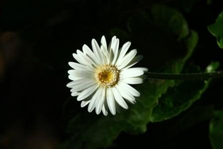 Photo of Melanie H.