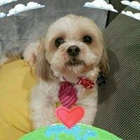 Photo of Agueda B.