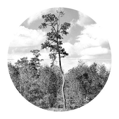 Photo of Keaton B.