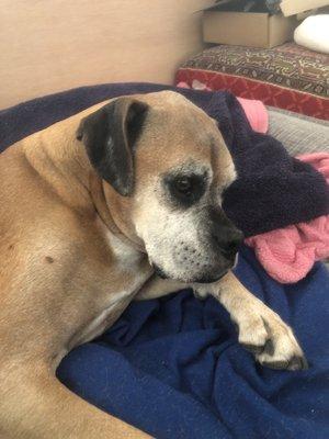 photo of Kingalec O.