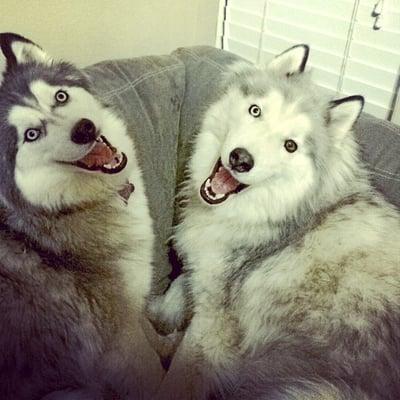 photo of Dominick B.