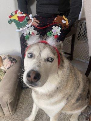 photo of Alexandra M.