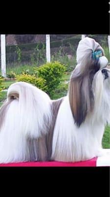 photo of Michelle B.