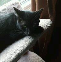 Photo of Mitzi C.