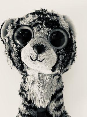 Photo of Franki L.