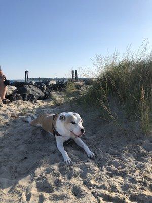 photo of Michelle G.