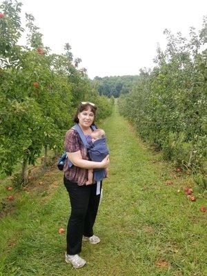 Photo of Karen A.
