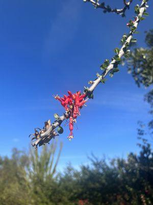 photo of Hermione P.