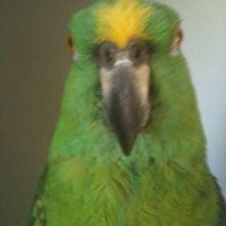 photo of Christine M.