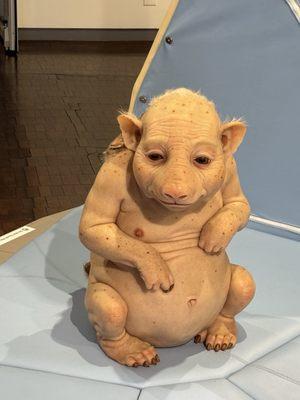 photo of Frequent Traveler M.