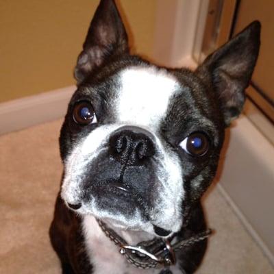 photo of Kristina H.